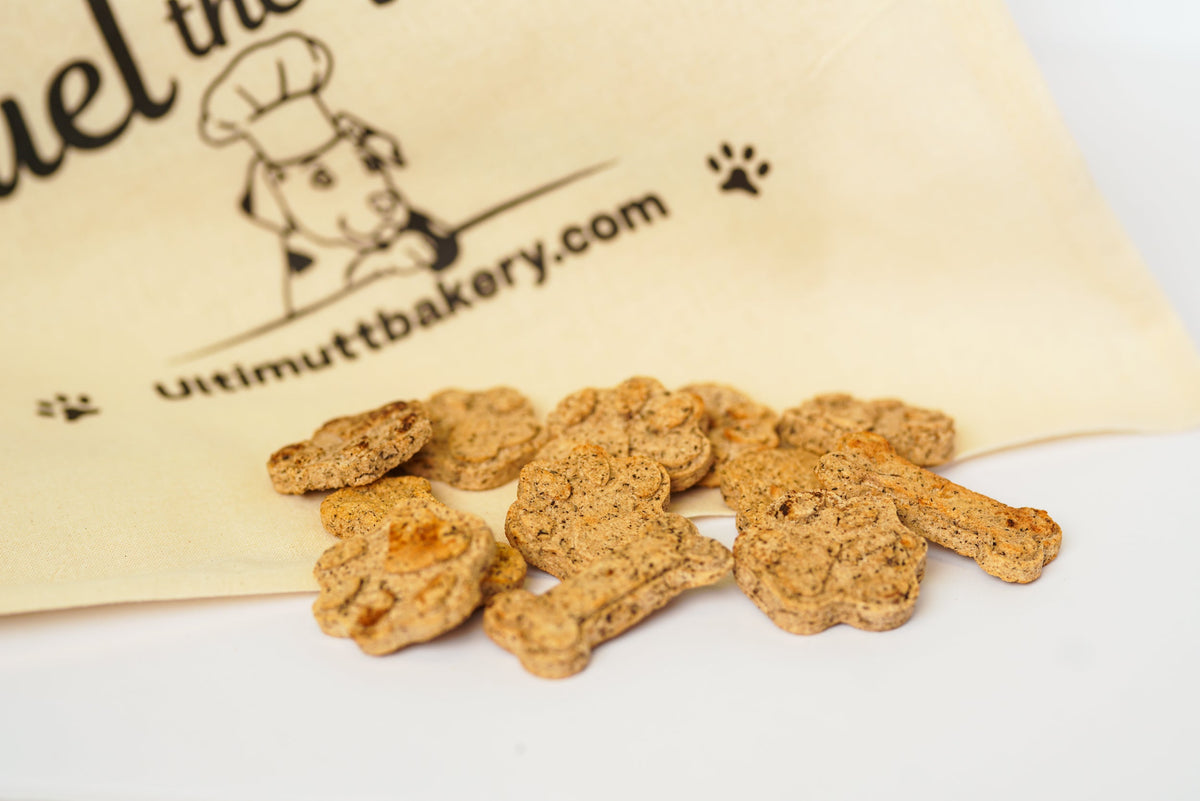 Early Signs of Health Issues in Dogs and How Nutrition Can Help