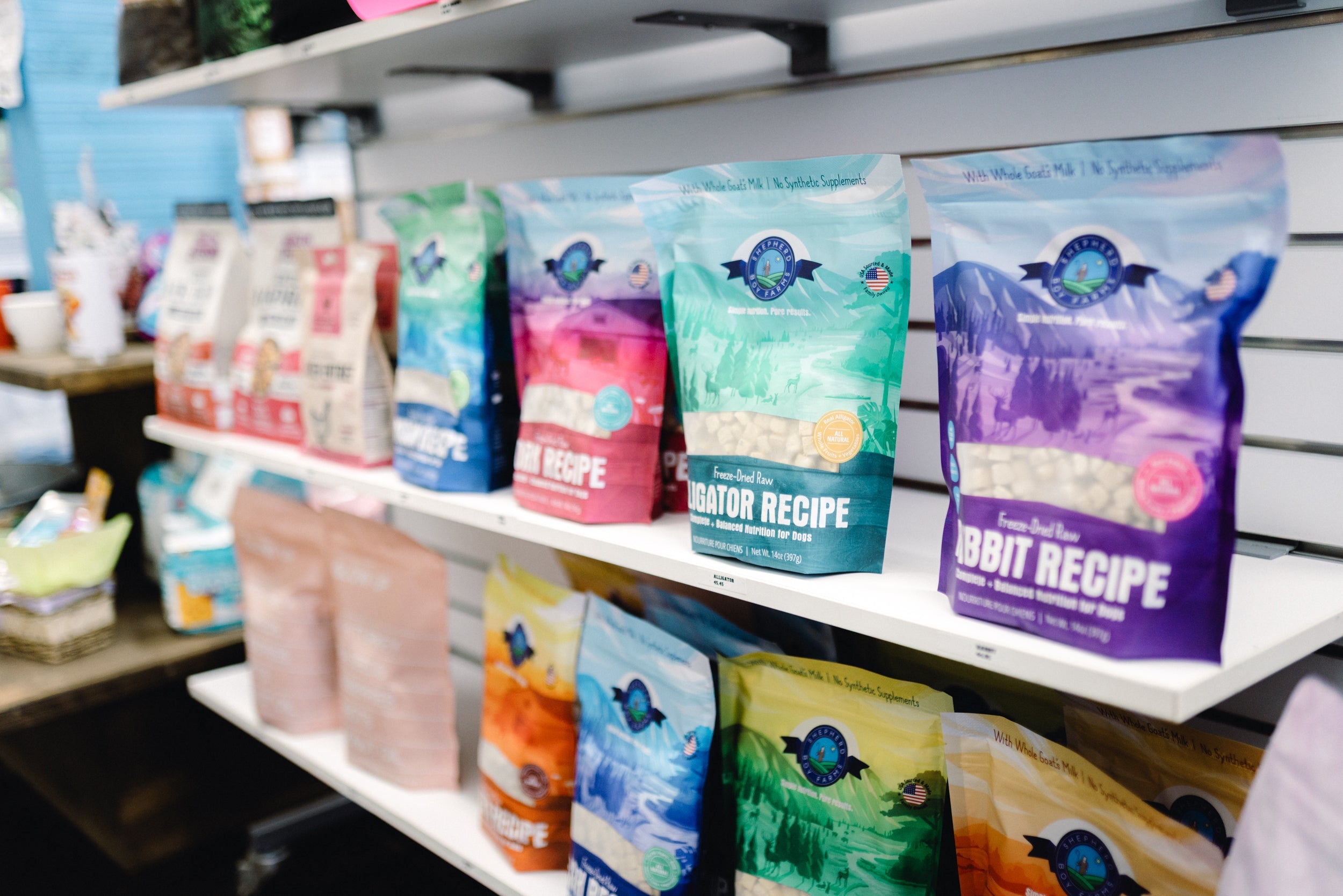 Healthy Dog Nutrition: How to Choose the Right Food for Your Dog