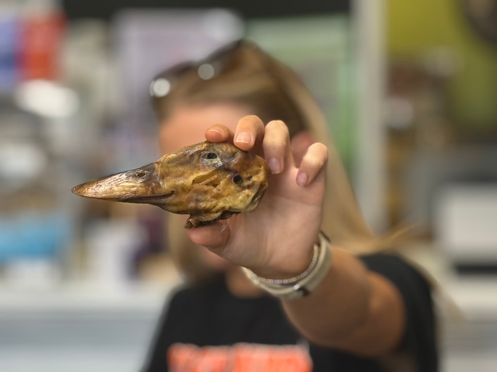Duck Heads – Single Ingredient Dog Chew