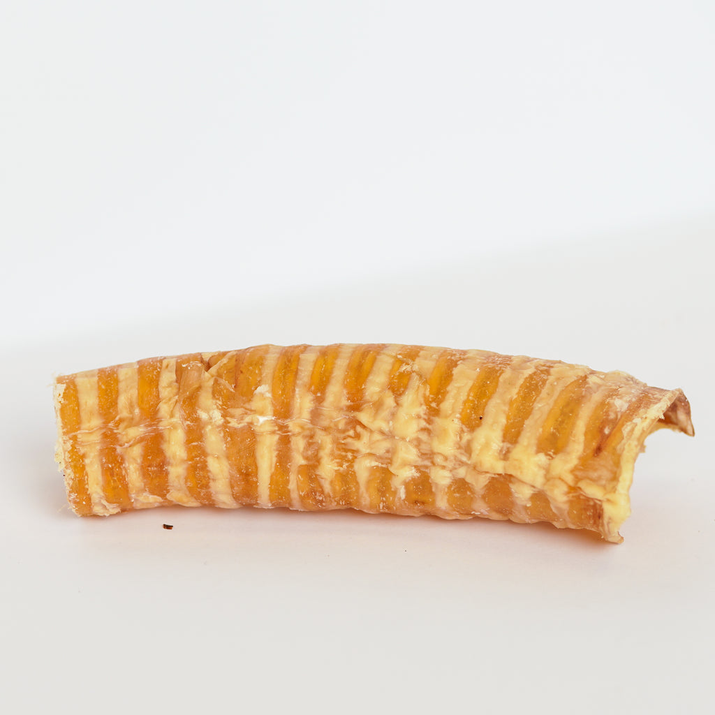 Beef Trachea