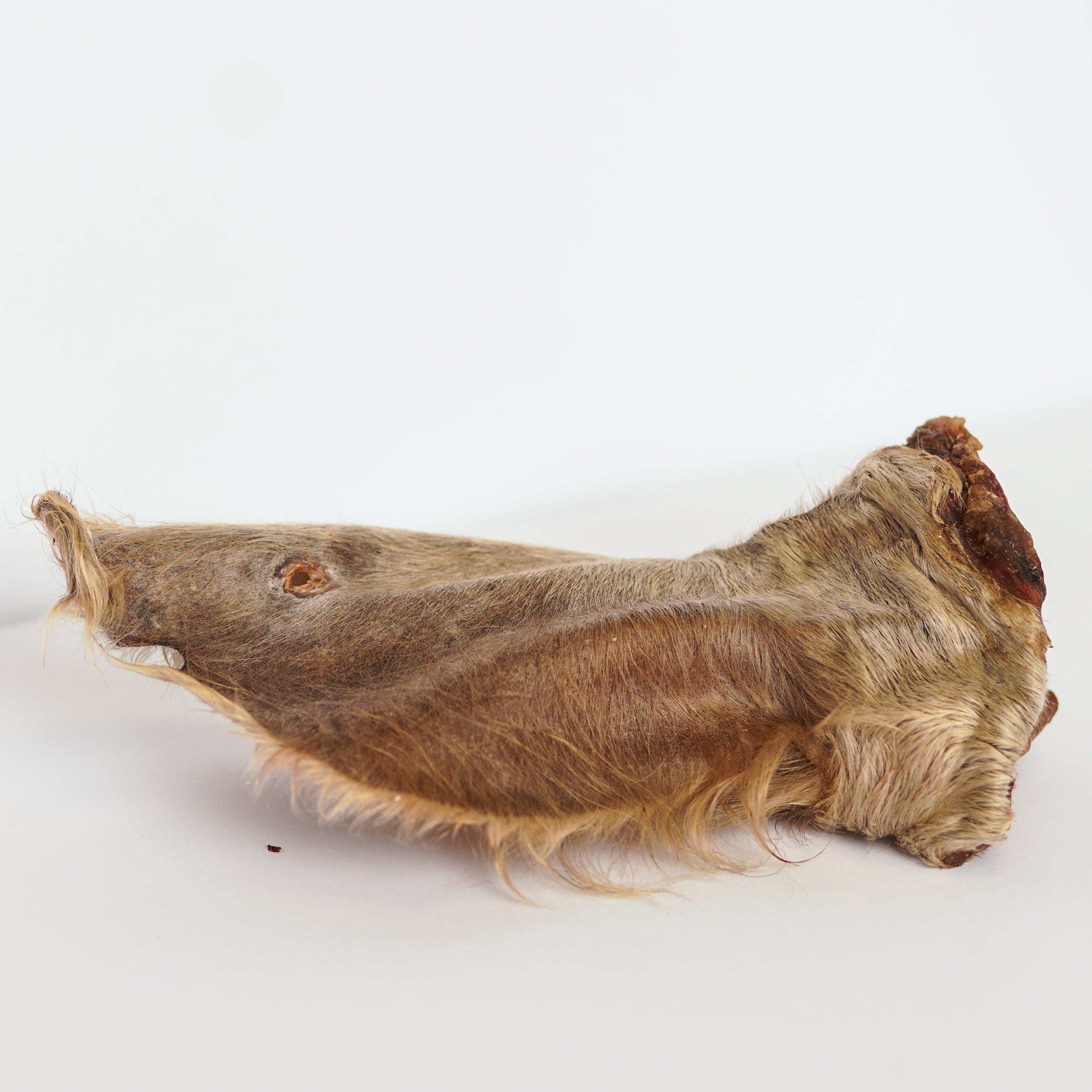 Cow Ear (With Hair)