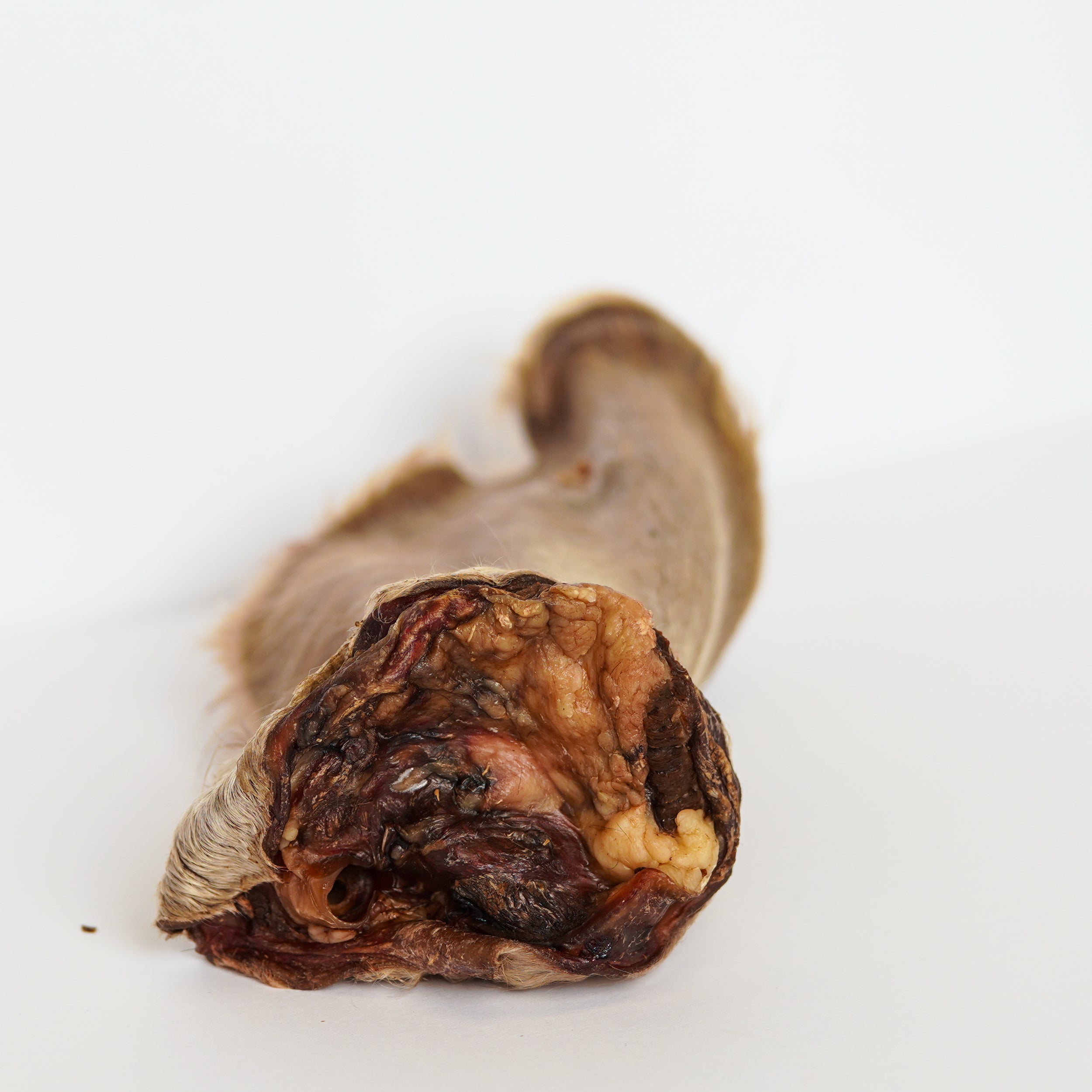 Cow Ear (With Hair)