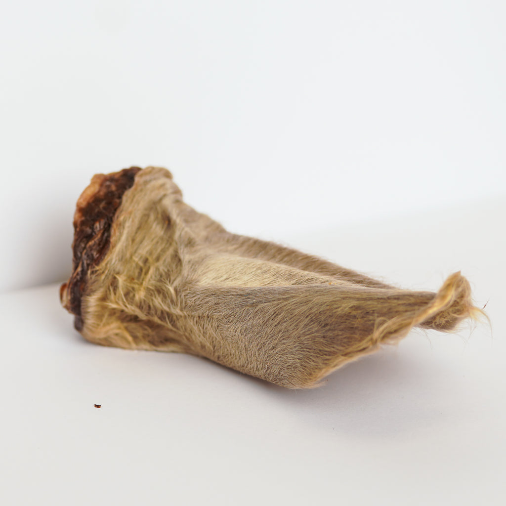Cow Ear (With Hair)