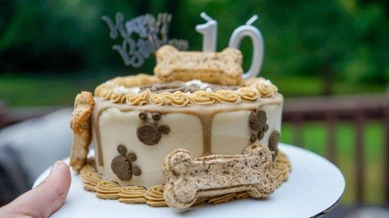 Doggy Birthday Cake