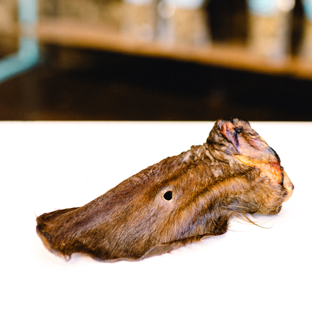 Cow Ear (With Hair)
